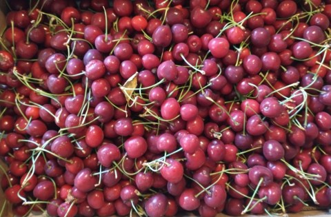 cherry categegory (Medium)